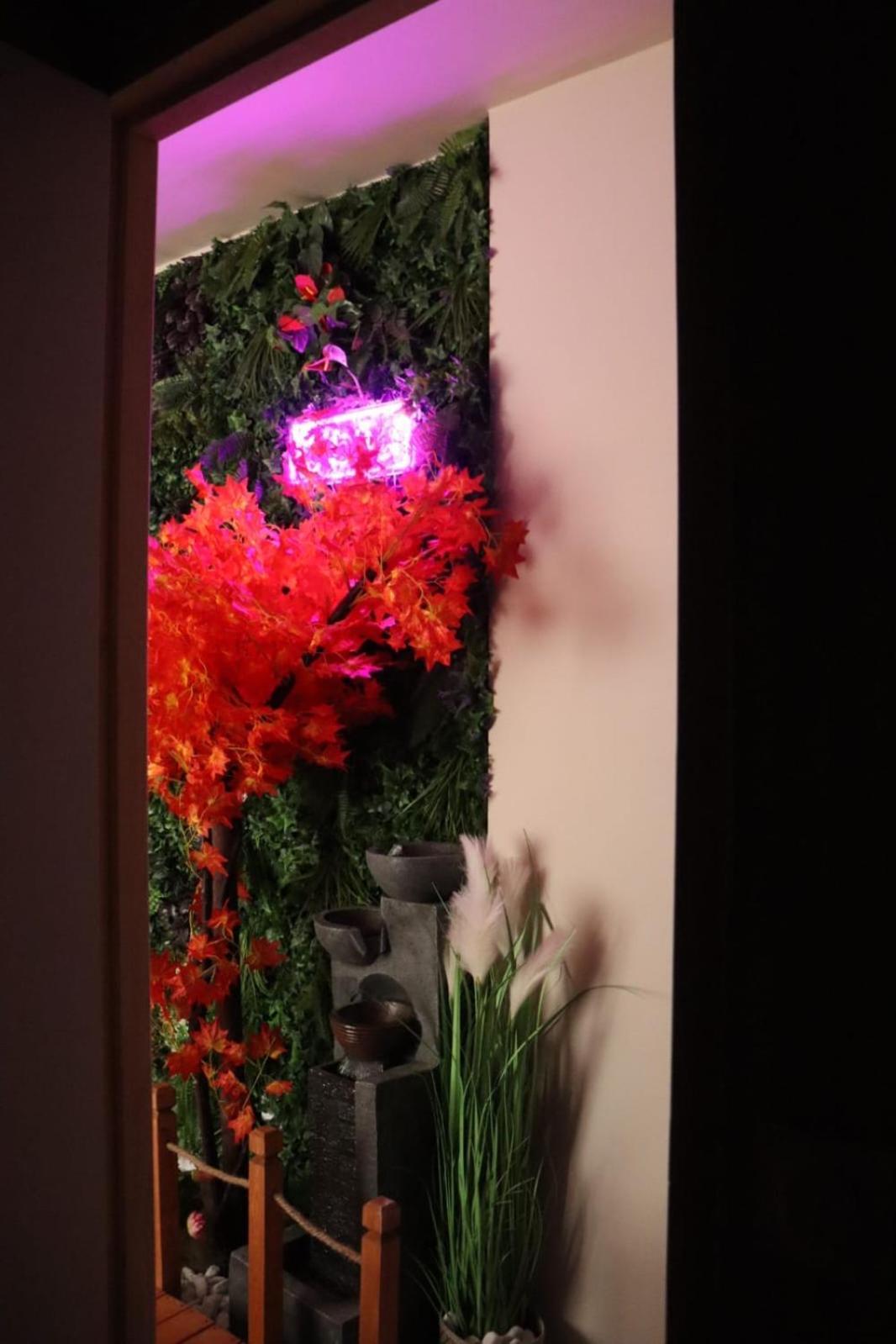 Loveroom Japon Avec Balneotherapie Tolone Esterno foto
