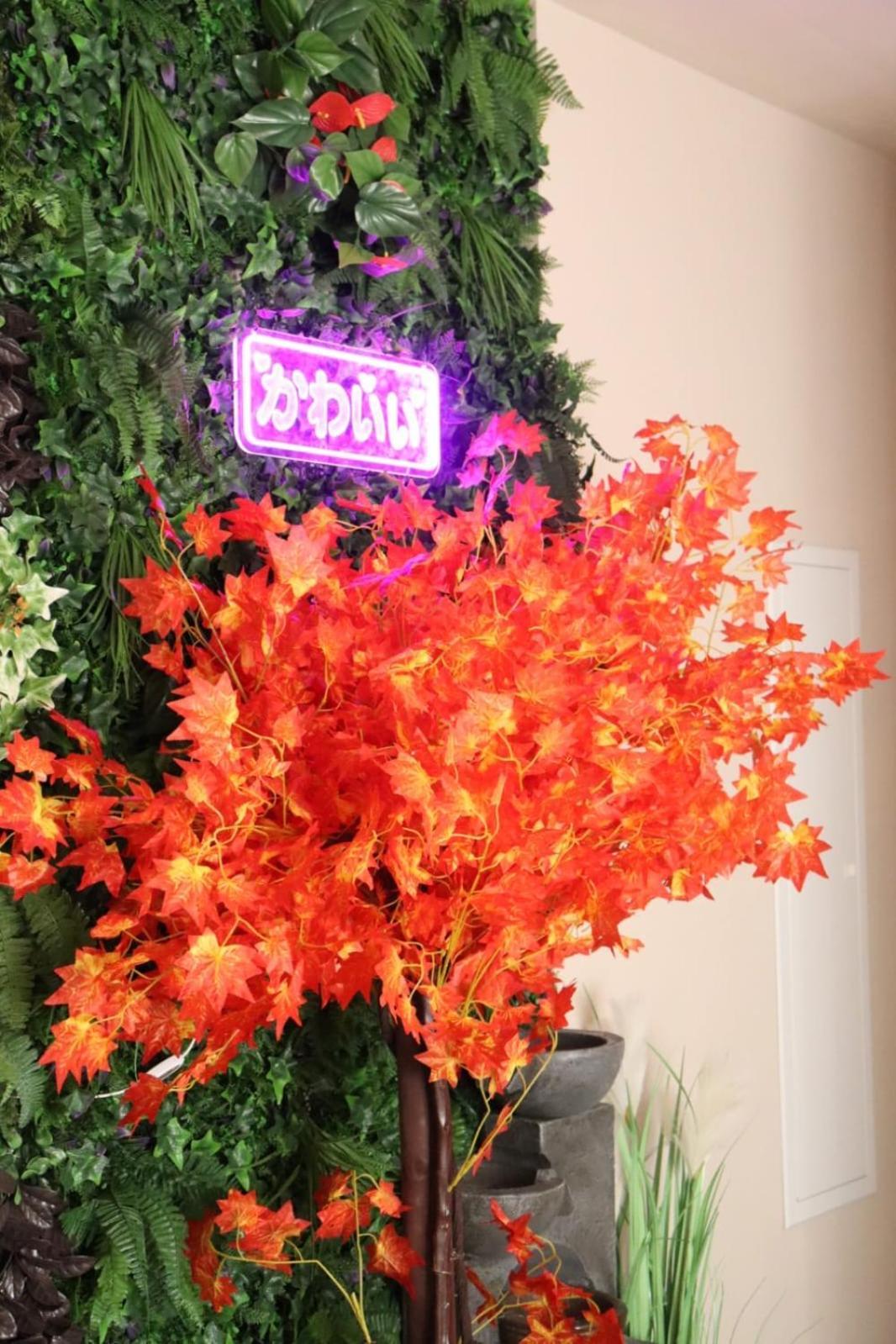 Loveroom Japon Avec Balneotherapie Tolone Esterno foto